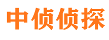 清新市婚外情调查